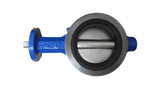 ABZ - 5" AG-F26 - Standard Wafer Seat Butterfly Valve Kit - 200 PSI - Cast Iron