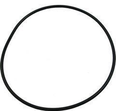 Waterway 8050252 Volute Face PlateO-Ring