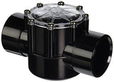 Pentair 263042 2" x 2.5" CPVC Check Valve