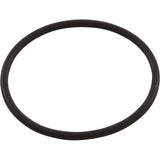 Astral Products 773059035 Buna-N Astramax Pump Strainer Union O-Ring