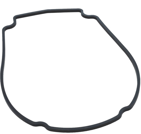 WATERWAY 806-1400 Econo Flo Champion Faceplate Gasket