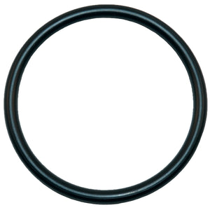 Aladdin O125 O-Ring Replacement for O-125 Pool O-Ring