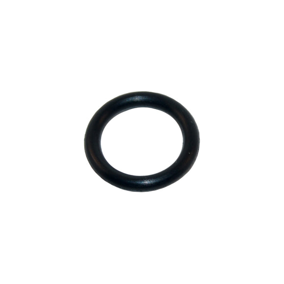 Pentair R172221Z O-Ring