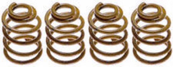 Raybestos H1152-2 (4) Brake Hold Down Spring - Rear, Front H1152