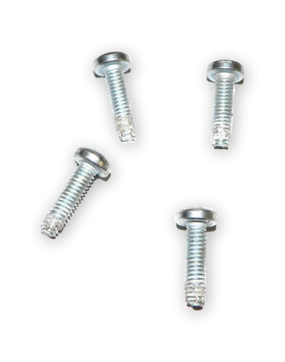 A.O Smith Century Top Cover Screws  Kit Of 4 Pcs Fits Century B1000 1081