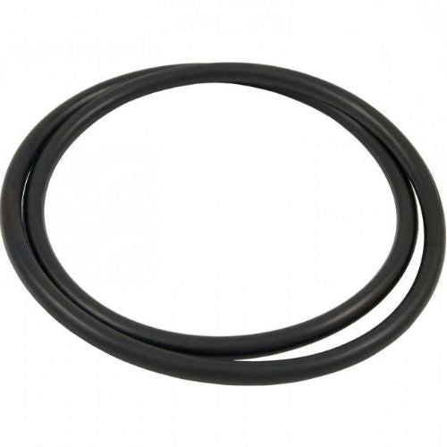 Hayward CX900F Filter Head O-Ring