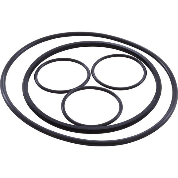 Hayward VLX4004A O-Ring Kit for VL Series Filter