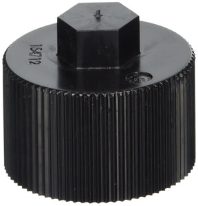 Pentair 154712Z Drain cap assembly