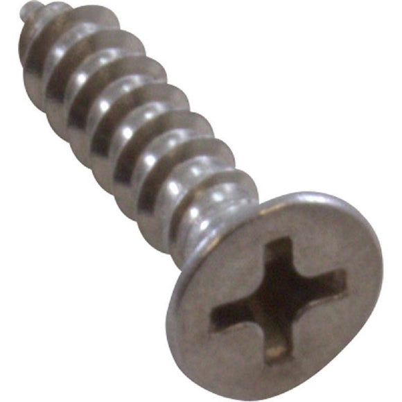 Pentair 552538 Stainless Steel Screw for Dual Bottom Grate