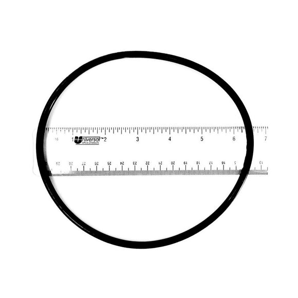 Pentair R172223 Cartridge Housing O-Ring