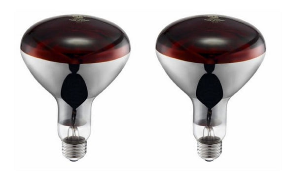 Producer's Pride 81016-730 Animal Habitats Red Heat Bulbs in 2 Pack, 250W, 120V