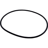 Pentair 87300400 Body O-Ring Fits Pentair 160317 Clean & Clear C1200, C175, C751