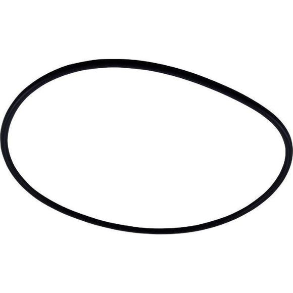 Pentair 87300400 Body O-Ring Fits Pentair 160317 Clean & Clear C1200, C175, C751