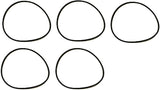 Quantity of (5) Federal Mogul 623033 National Gaskets 1/8 x 5-5/8 x 5-7/8